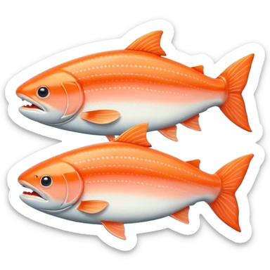 fish salmon sticker