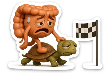  EMOJI STILE IPHONE 3D DI UN INTESTINO CON ESPRESSIONE ANGOSCIATA CHE CAMMINA SUL GUSCIO DI UNA TARTARUGA IN ATTESA ESTENUANTE DI RAGGIUNGERE UN TRAGUARDO POCO PIù AVANTI, SULLA LORO DESTRA. IL TRAGUARDO è UNA BANDIERA A DUE PIEDI CON FASCIA A SCACCHI BIANCHI E NERI. iperrealistico 4k sticker