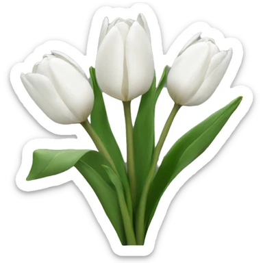 White tulips  sticker