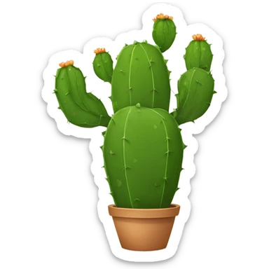 single flat Nopal without pot sticker