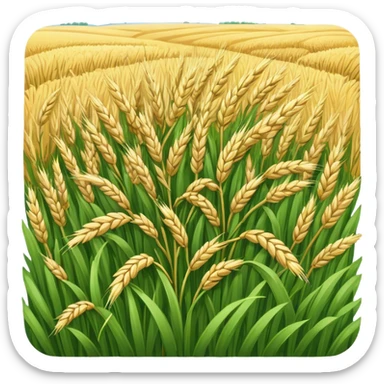 rye covercrop sticker
