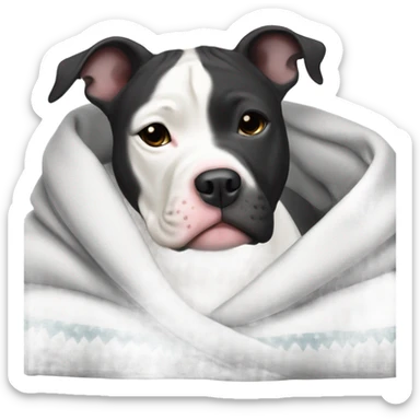 Black and White pit-bull wrapped in a blanket  sticker