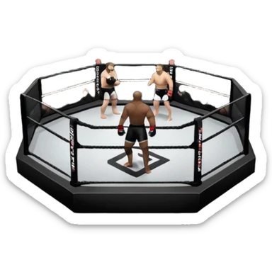 Mma octogone sticker