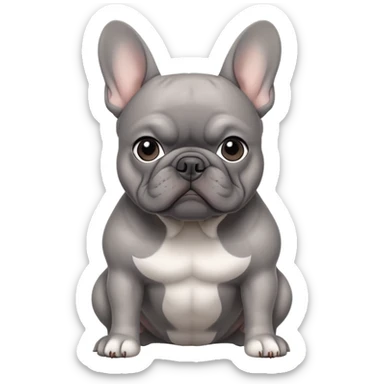 grey french bulldog sticker