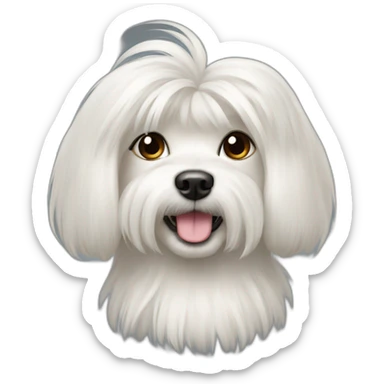 Maltese dog with pony hair sticker