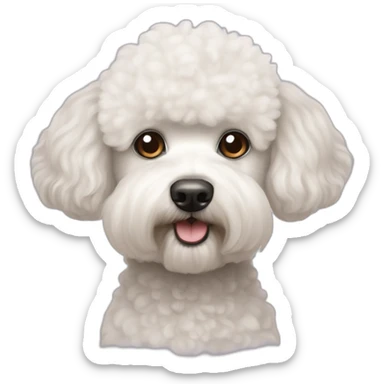Poodle and Bichon Frise mix sticker