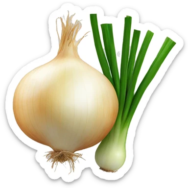 Onion  sticker