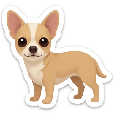 Beige chihuahua sticker
