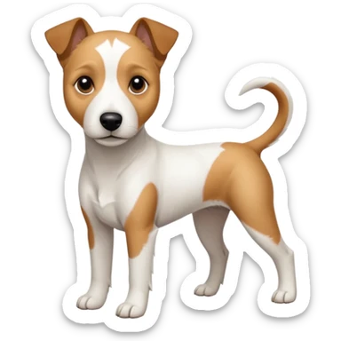 a full body white parson russell looking dog the size of a kelpie with light brown ears and a light brown patch on one eye and a large snout sticker