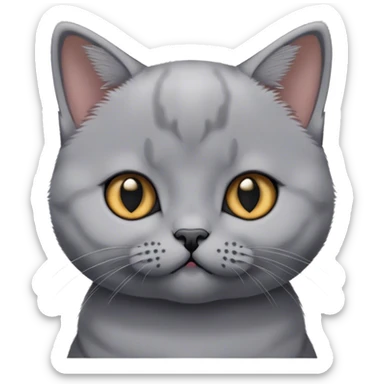 Head of british shorthair kitten sticker