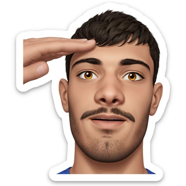 realistic portrait of a guy sticker