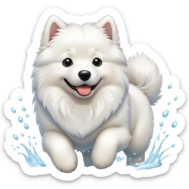 Samoyed playing in water sticker
