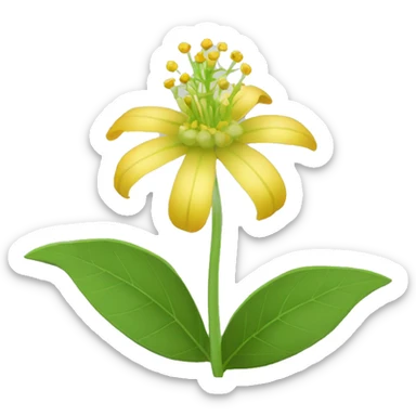 Ashwagandha flower with greenish-yellow petals and a central yellow stamens emojis sticker