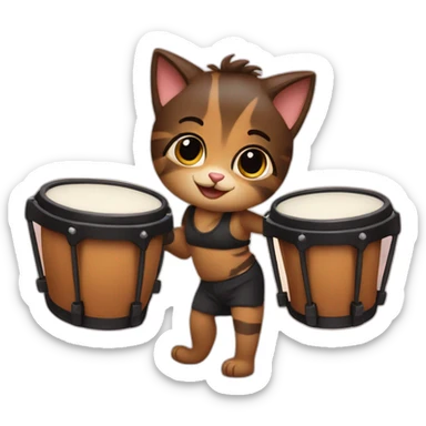 Kat met bongos sticker