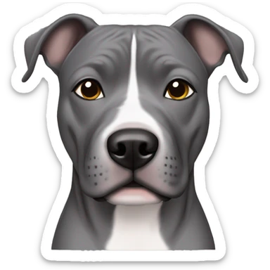 grey staffordshire terrier with grey eyes sticker