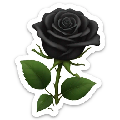 black rose  sticker