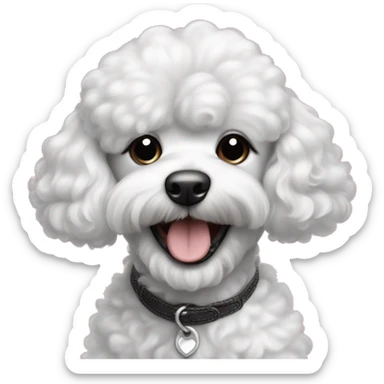 cachorrita french poodle de pelo negro muy corto y barba blanca sonrriendo sticker