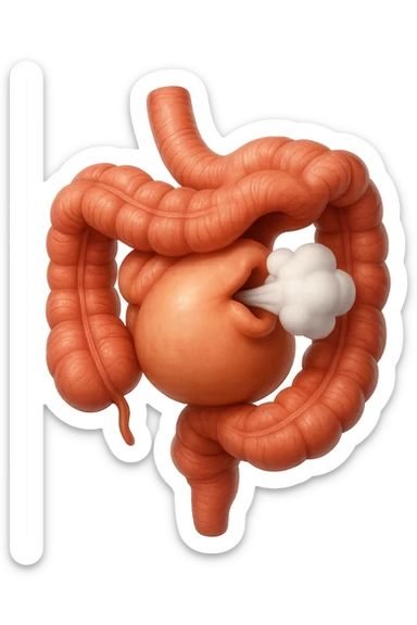 emoji stile iphone di un intestino che ingoia una nuvoletta di aria ben visibile e gli si gonfia la pancia, non fargli il naso, iperrealistico 4k sticker