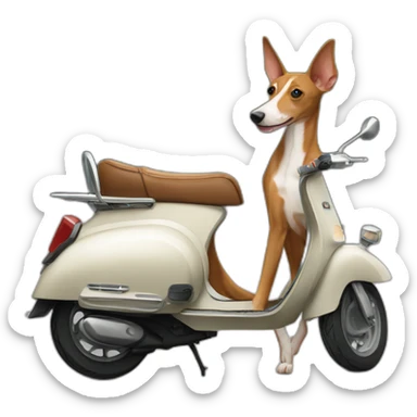 podenco on vespa sticker