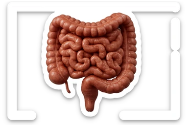 CISTIFELLEA E INTESTINO SONO COLLEGATI NEL DOLORE, SENZA SCRITTE E L'INTESTINO FALLO PERFETTO E REALISTICO, NON DISEGNATO iperrealistico 4k sticker