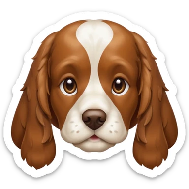 Cocker spaniel  sticker