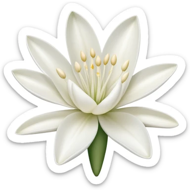 Tuberose sticker