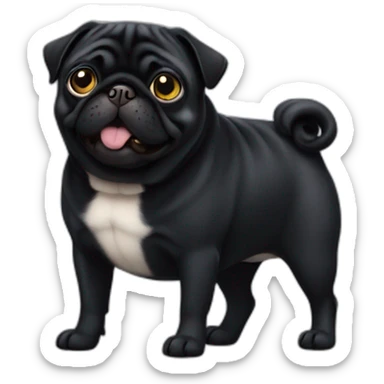Black pug being fat sticker