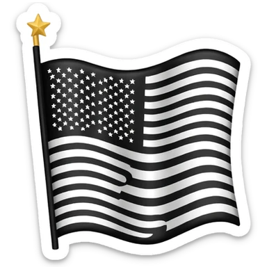 🇺🇸 in black and white sticker