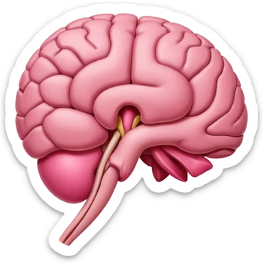 pituitary gland sticker