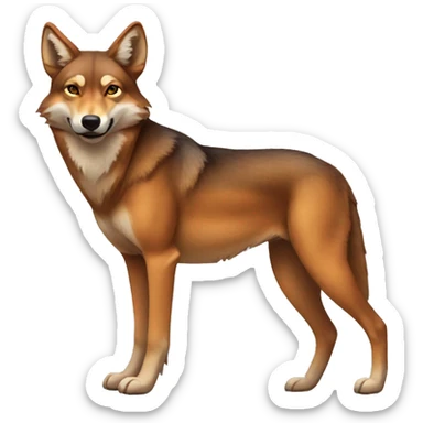 American Red Wolf sticker