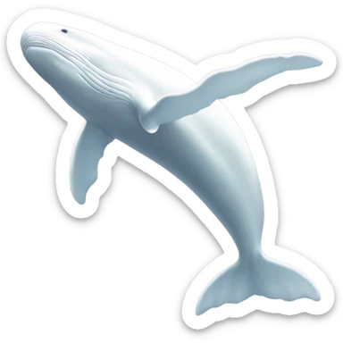 white whale , underside sticker