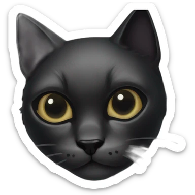 Black-cat-skull sticker