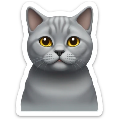 Grey British shorthair cat  sticker