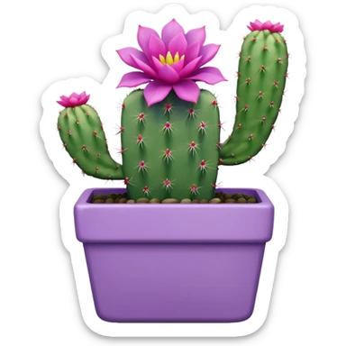 One ceramic pot in pastel violet, square, and tall, containing a flowering cactus. sticker