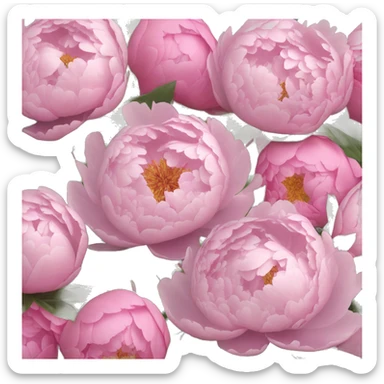 peonies ￼ sticker