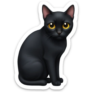 Bombay cat with rounder face sticker
