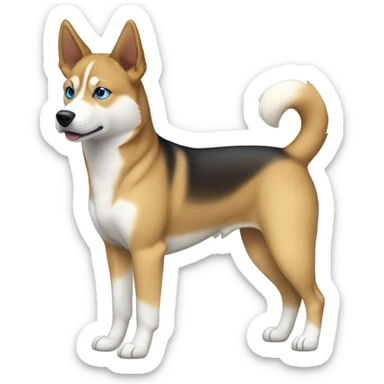 Carolina dog mixed with a husky rescue from Puerto Rico  sticker
