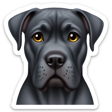 Cane Corso  sticker