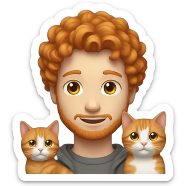 ginger with curly hair young looking guy holding a gray cat sticker