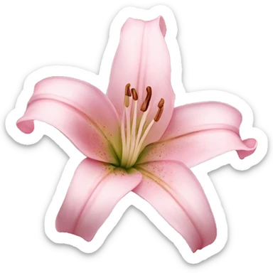 Light pink lily flower sticker