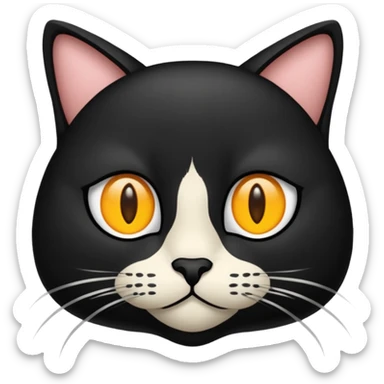 een zwarte kat die aan het wenen is met tranen sticker