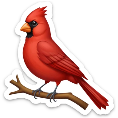 cardinal bird sticker