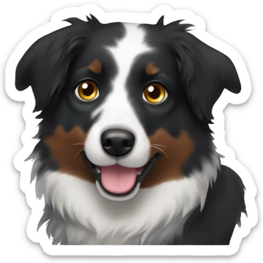 Small black australian shepherd dog with dark brown eyes and black face sticker