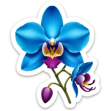 royal blue and cyan orchid sticker