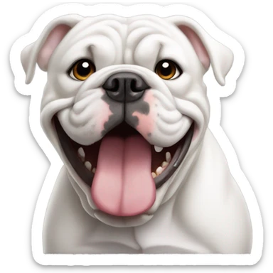 White english bulldog with underbite  sticker
