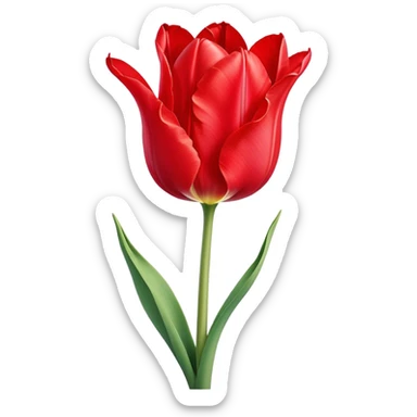 ​Cinematic Realistic Tulip, depicted as a single, exquisitely detailed bloom with vibrant red petals and a delicate stem, softly illuminated by natural light that highlights its graceful beauty and elegant form, sticker