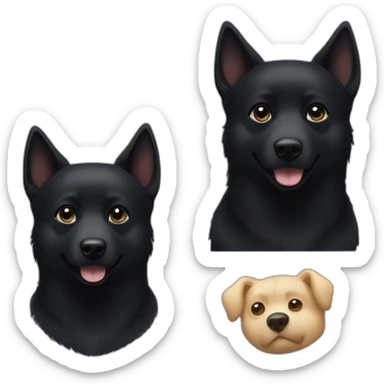 black schipperke that only have black short hair and who wears a bmw sign on his neck  sticker