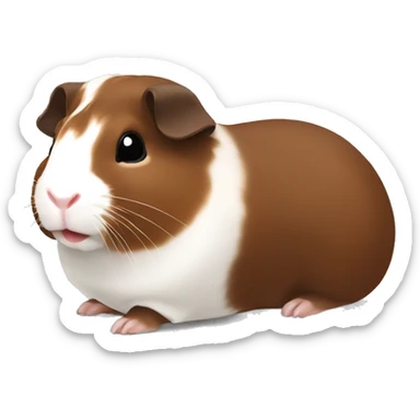 Guineapig dark brown white and red sticker