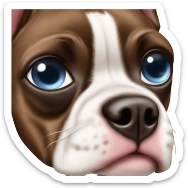 one blue eye one brown eye boston terrier sticker