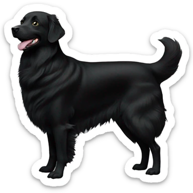 duck tolling retriever all black sticker